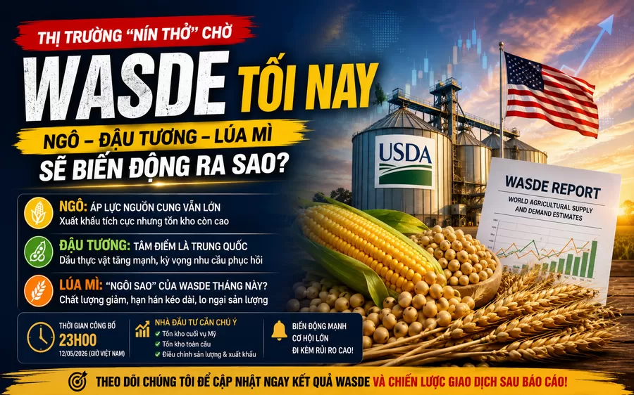 WASDE Tối Nay: Ngô, Đậu Tương Và Lúa Mì Sẽ Biến Động Ra Sao?